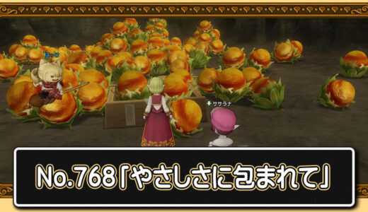 【クエスト攻略】装備袋175→200種類拡張クエストNo.768「やさしさに包まれて」進め方