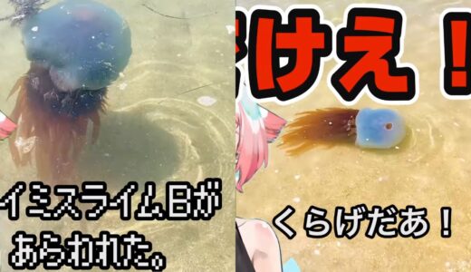 現実世界にホイミスライムが出現でSNS騒然！！ 魔王軍に世界侵略される日は近いな……